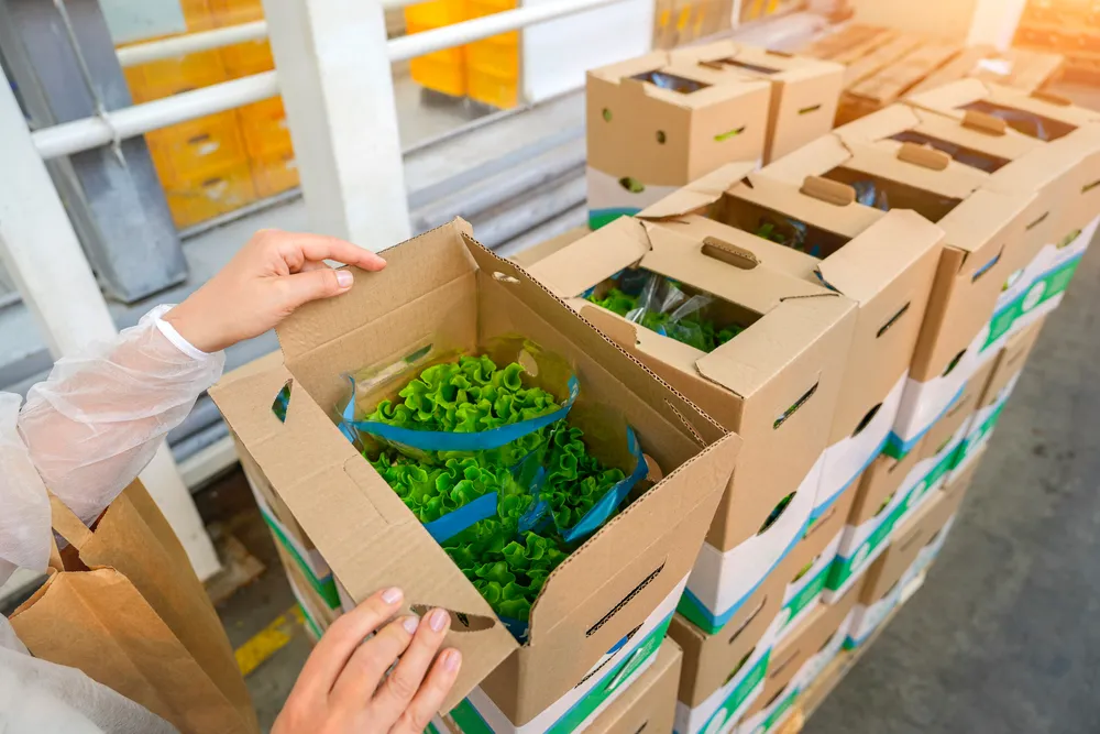 packaging